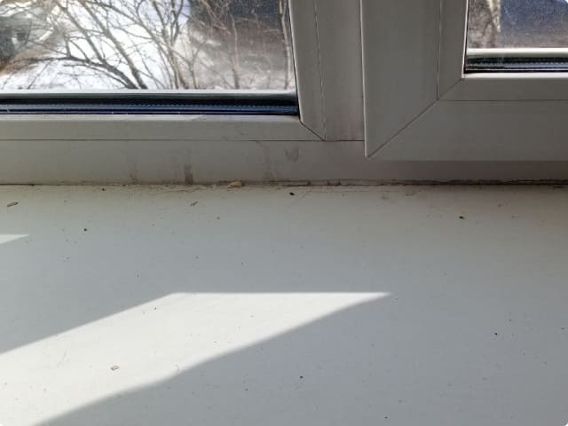 Загрязненный подоконник