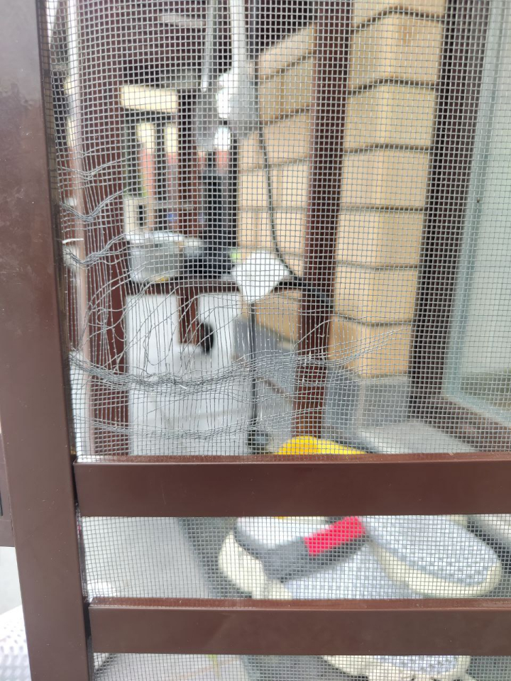 Порванная москитная сетка для двери